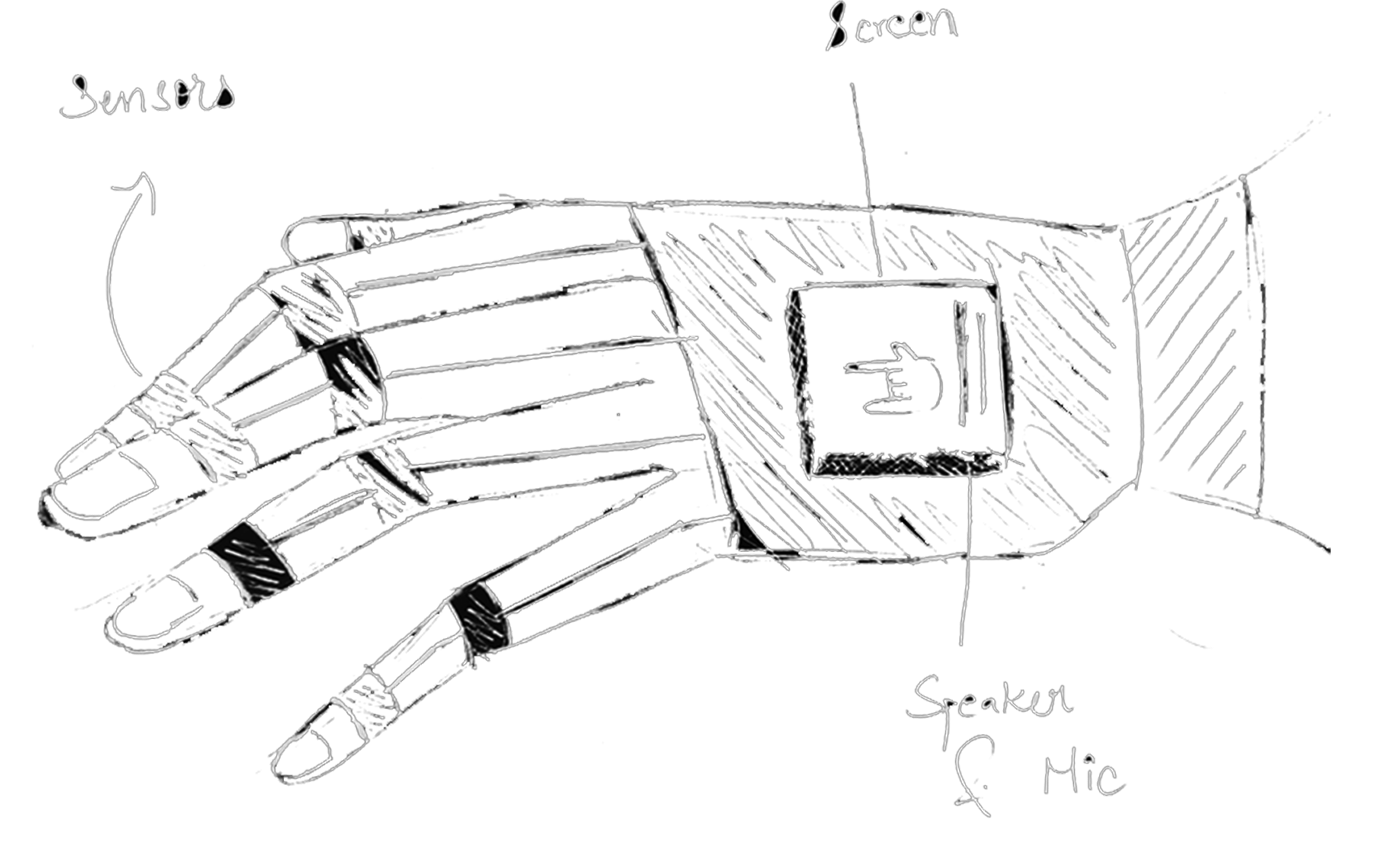 Glove Sketch